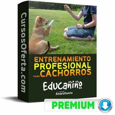 Curso Educanino – Álvaro Osorio 1 Curso Educanino – Álvaro Osorio