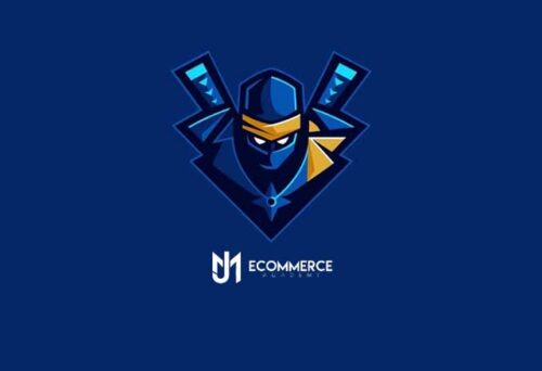 Curso Dropshipping Ninja de Manu y Josef 1 curso dropshipping ninja de manu y josef 6528f4f845e87