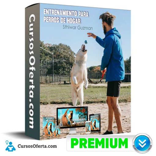 entrenamiento para perros de hogar sthiwar guzman 652de6eb19282